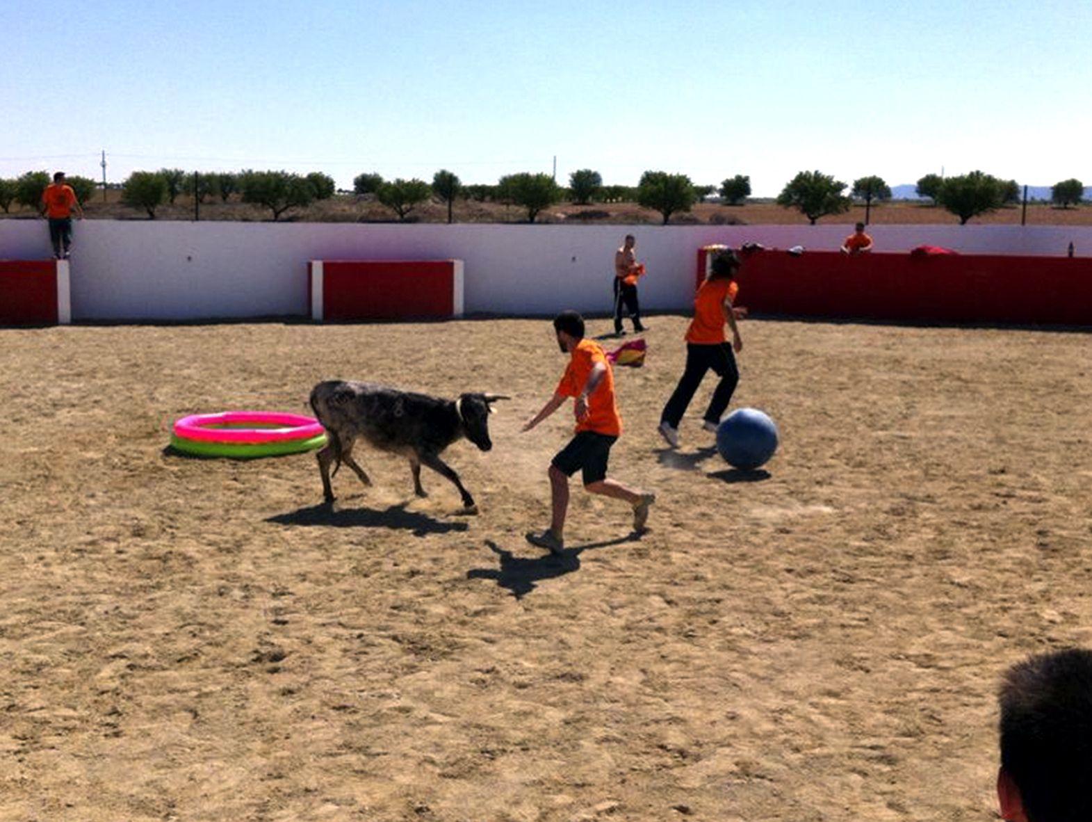 Pack Torero Carmona capea despedida soltero Sevilla